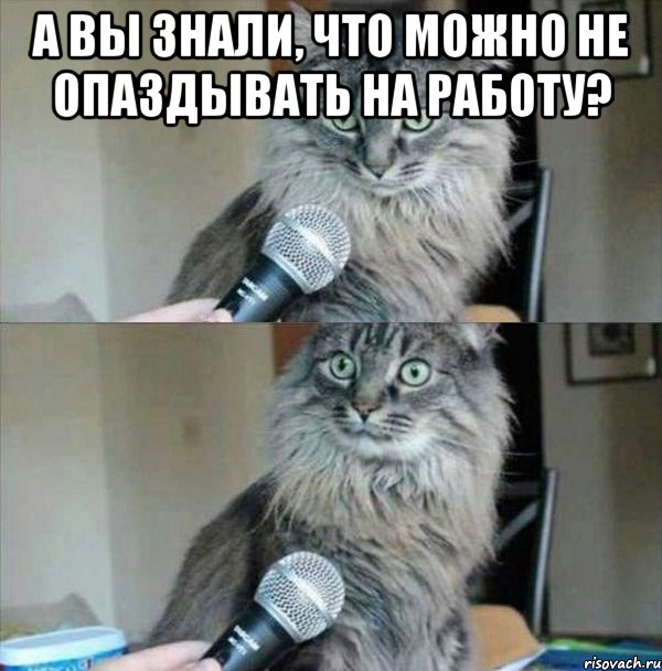 А вы знали, что можно не опаздывать на работу? 