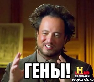  Гены!