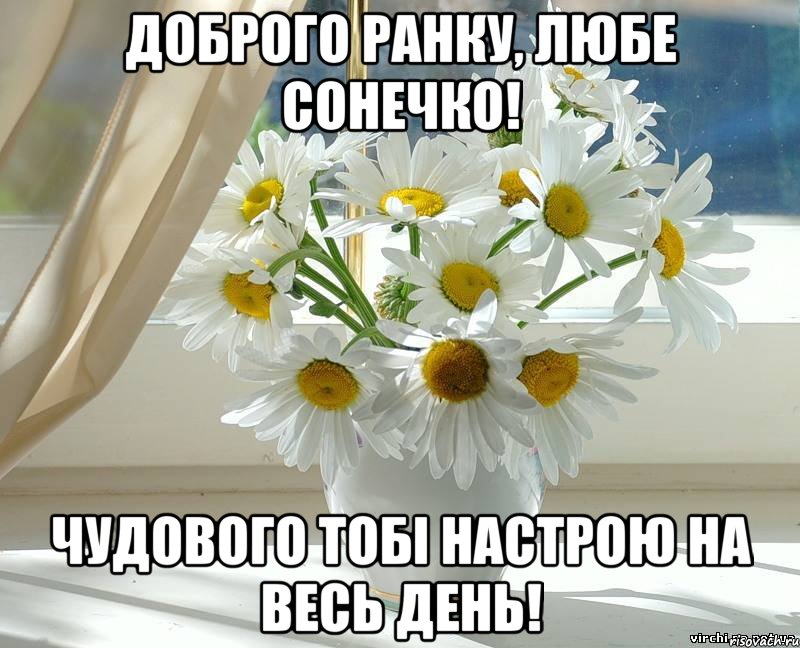 Доброго ранку, ЛЮБЕ СОНЕЧКО! Чудового тобі настрою на весь день!
