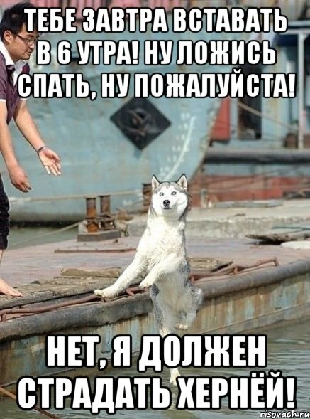 Тебе завтра вставать в 6 утра! Ну ложись спать, ну пожалуйста! Нет, я должен страдать хернёй!
