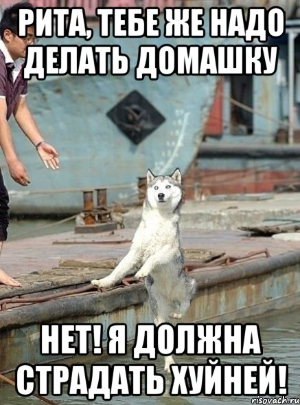 Рита, тебе же надо делать домашку Нет! я должна страдать хуйней!