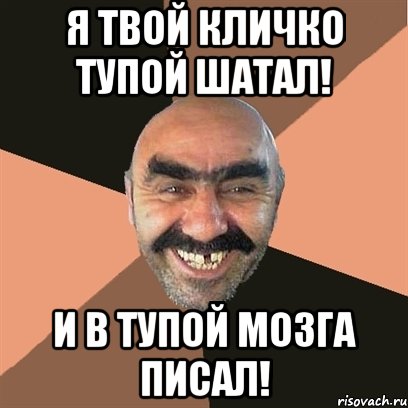 Я твой Кличко тупой шатал! и в тупой мозга писал!, Мем Я твой дом труба шатал