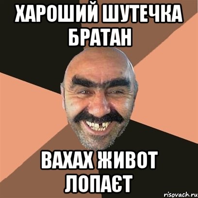 Хароший Шутечка братан вахах живот лопаєт, Мем Я твой дом труба шатал