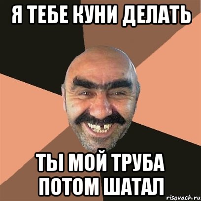 Я ТЕБЕ КУНИ ДЕЛАТЬ ТЫ МОЙ ТРУБА ПОТОМ ШАТАЛ, Мем Я твой дом труба шатал