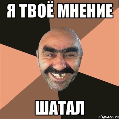 я твоё мнение шатал, Мем Я твой дом труба шатал