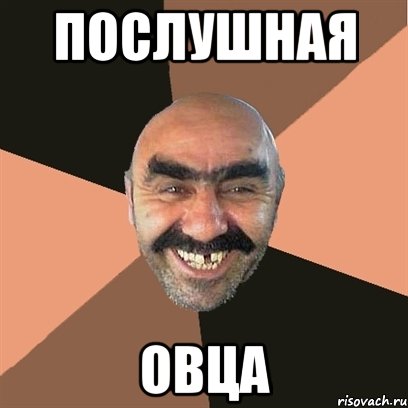 Послушная Овца, Мем Я твой дом труба шатал