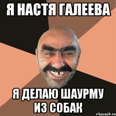 Я НАСТЯ ГАЛЕЕВА Я ДЕЛАЮ ШАУРМУ ИЗ СОБАК, Мем Я твой дом труба шатал