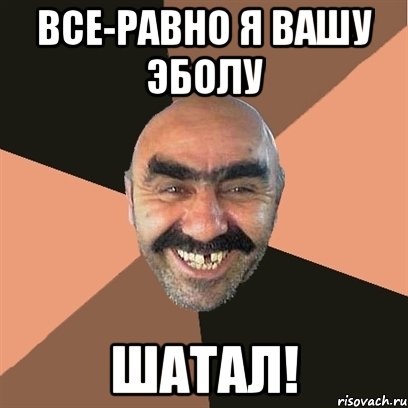 все-равно я вашу эболу шатал!, Мем Я твой дом труба шатал