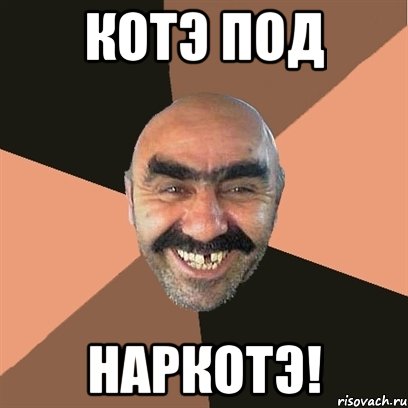 КоТэ Под НаРкОтЭ!, Мем Я твой дом труба шатал