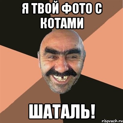 я твой фото с котами шаталь!