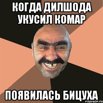 Когда дилшода укусил комар появилась бицуха