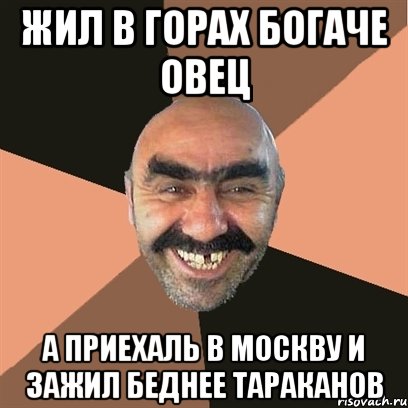 Жил в горах богаче овец А приехаль в Москву и зажил беднее тараканов
