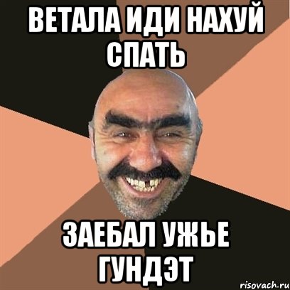 Ветала иди нахуй спать Заебал ужье гундэт, Мем Я твой дом труба шатал