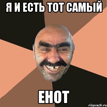 я и есть тот самый енот, Мем Я твой дом труба шатал
