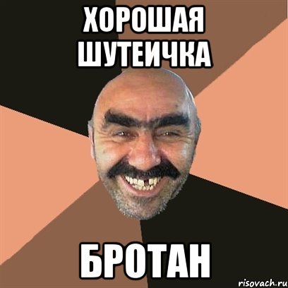 Хорошая шутеичка бротан, Мем Я твой дом труба шатал