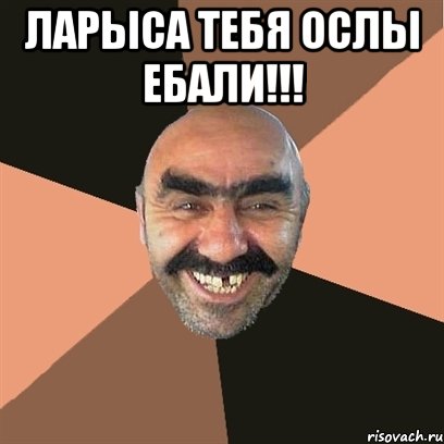 ЛАРЫСА ТЕБЯ ОСЛЫ ЕБАЛИ!!! , Мем Я твой дом труба шатал