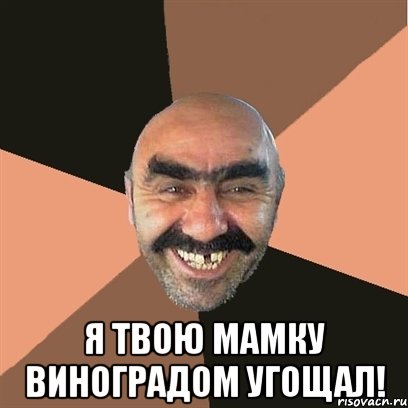  Я твою мамку виноградом угощал!, Мем Я твой дом труба шатал