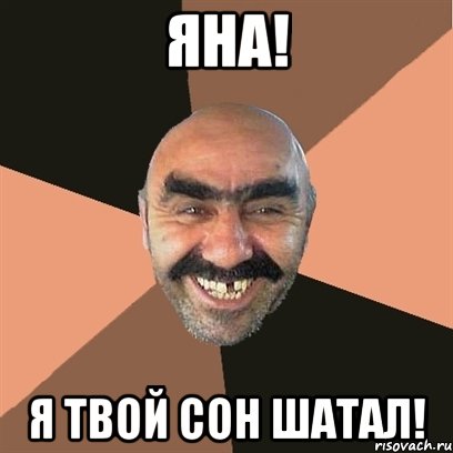 Яна! Я твой сон шатал!, Мем Я твой дом труба шатал