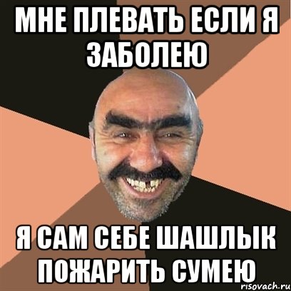 Мне плевать если я заболею Я сам себе шашлык пожарить сумею, Мем Я твой дом труба шатал
