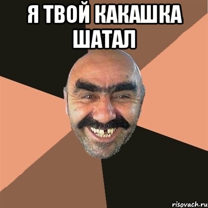 я твой какашка шатал , Мем Я твой дом труба шатал