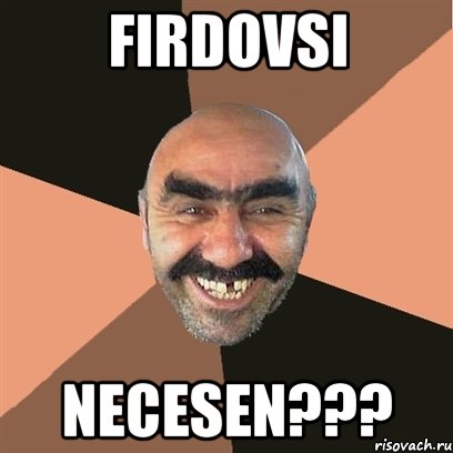 Firdovsi Necesen???, Мем Я твой дом труба шатал