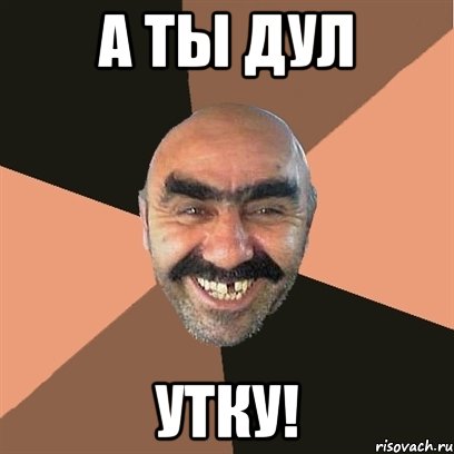 А ТЫ ДУЛ УТКУ!, Мем Я твой дом труба шатал