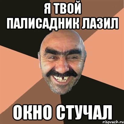 Я ТВОЙ ПАЛИСАДНИК ЛАЗИЛ ОКНО СТУЧАЛ, Мем Я твой дом труба шатал