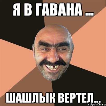 я в гавана ... ШАШЛЫК вертел..., Мем Я твой дом труба шатал