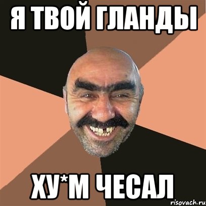 я твой гланды ху*м чесал, Мем Я твой дом труба шатал