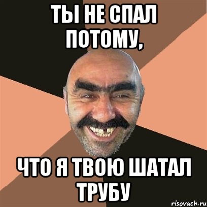 Ты не спал потому, Что я твою шатал трубу, Мем Я твой дом труба шатал