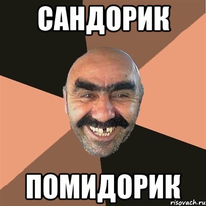 САНДОРИК ПОМИДОРИК, Мем Я твой дом труба шатал