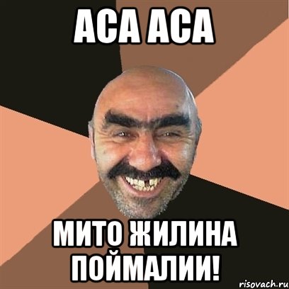 Аса аса Мито Жилина поймалии!, Мем Я твой дом труба шатал