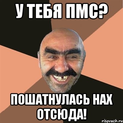 У тебя ПМС? Пошатнулась нах отсюда!, Мем Я твой дом труба шатал