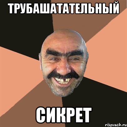 трубашатательный сикрет, Мем Я твой дом труба шатал