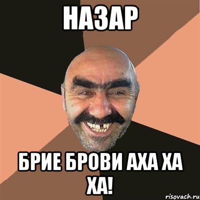НАЗАР БРИЕ БРОВИ АХА ХА ХА!, Мем Я твой дом труба шатал