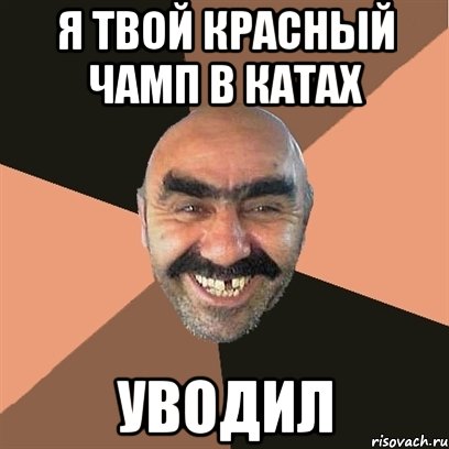 я твой красный чамп в катах уводил, Мем Я твой дом труба шатал