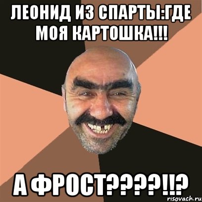 ЛЕОНИД ИЗ СПАРТЫ:ГДЕ МОЯ КАРТОШКА!!! А ФРОСТ????!!?, Мем Я твой дом труба шатал