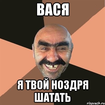ВАСЯ Я ТВОЙ НОЗДРЯ ШАТАТЬ, Мем Я твой дом труба шатал