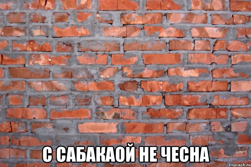  с сабакаой не чесна, Мем йцв