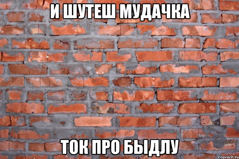 и шутеш мудачка ток про быдлу, Мем йцв