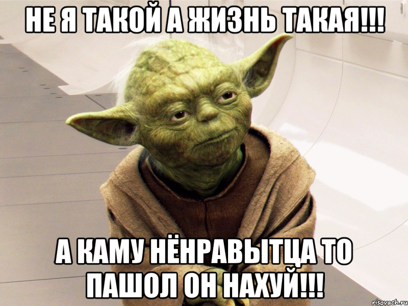 Не я такой а жизнь такая!!! А каму нёнравытца то пашол он нахуй!!!, Мем Yoda