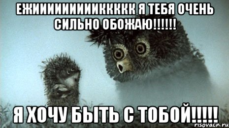 Ежиииииииииккккк я тебя очень сильно обожаю!!!!!! Я хочу быть с тобой!!!!!