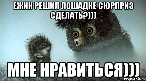 Ежик решил лошадке сюрприз сделать?))) Мне нравиться)))