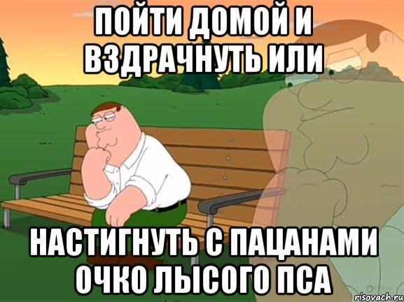 Пойти домой и вздрачнуть или настигнуть с пацанами очко лысого пса, Мем Задумчивый Гриффин