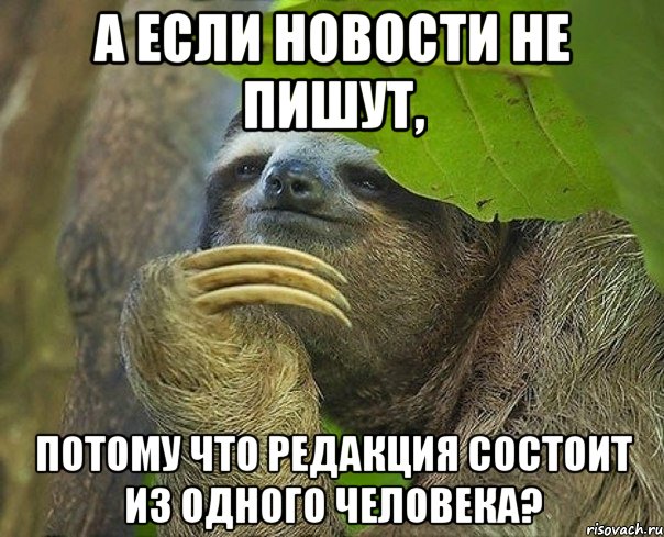 А если новости не пишут, потому что редакция состоит из одного человека?, Мем Задумчивый ленивец