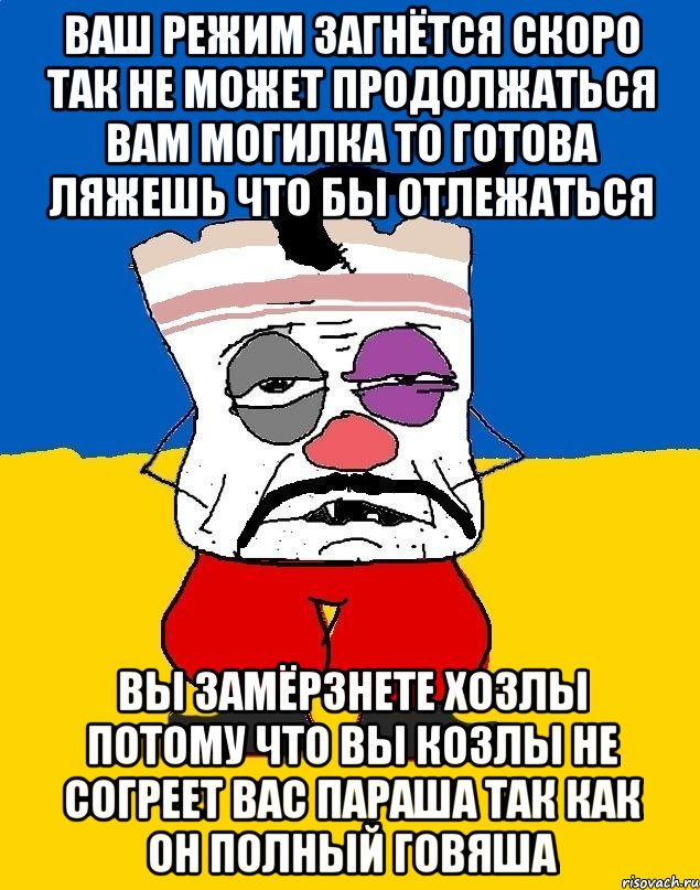 Ваш режим загнётся скоро так не может продолжаться вам могилка то готова ляжешь что бы отлежаться Вы замёрзнете хозлы потому что вы козлы не согреет вас параша так как он полный говяша, Мем Западенец - тухлое сало