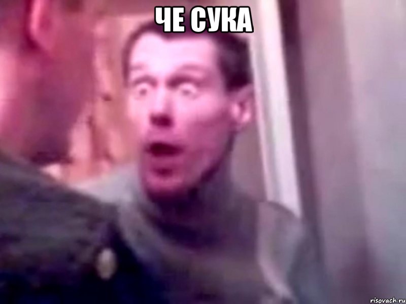 че сука , Мем Запили