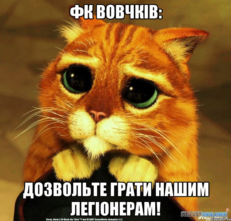 ФК ВОВЧКІВ: ДОЗВОЛЬТЕ ГРАТИ НАШИМ ЛЕГІОНЕРАМ!, Мем Котик из Шрека