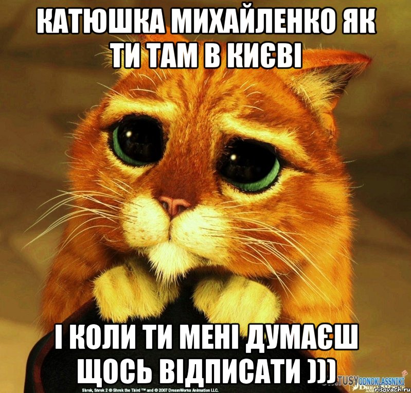 кАТЮШКА мИхайленко як ти там в києві і коли ти мені думаєш щось відписати ))), Мем Котик из Шрека