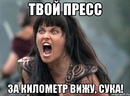 Твой пресс За километр вижу, сука!, Мем Зена